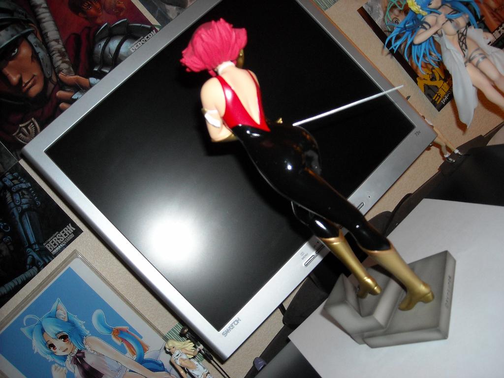 DSCN0237.JPG