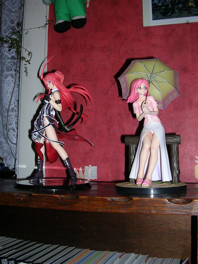 Dscn1388.jpg