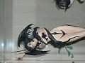 DSCN0155
